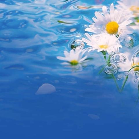 “点滴法律知识，筑牢生活防线”之普法宣传第二十五期：商品房买卖合同解除后，公积金贷款合同能否同步解除？