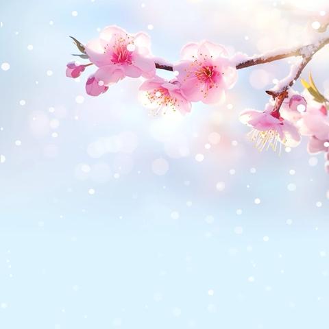 “点滴法律知识，筑牢生活防线”之普法宣传第二十六期：正当防卫的成立条件是什么？