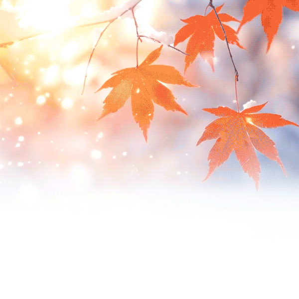 “点滴法律知识，筑牢生活防线”之普法宣传第二十八期：酒后开启“自动驾驶”，能从轻处罚吗？