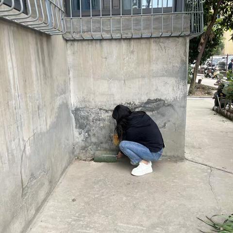 白庙社区病媒生物防制工作：院落老鼠药投放纪实