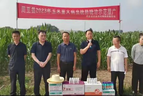 周至县农业农村局植保植检站积极开展玉米重大病虫防控现场会