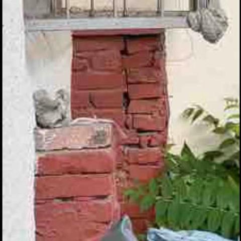 为民解忧办实事，消除蜂巢暖人心。