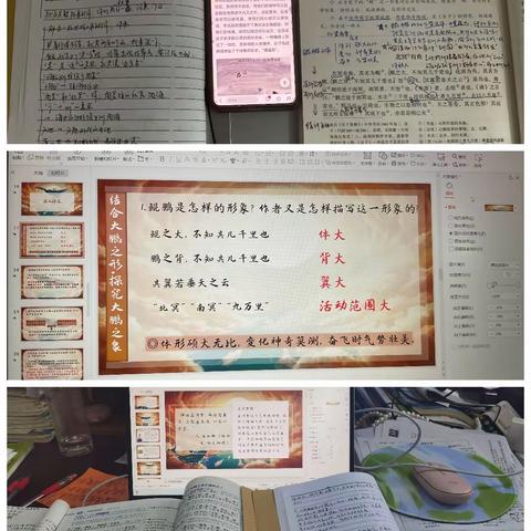 👀《北冥有鱼》----4月新课纪实.amazing📸