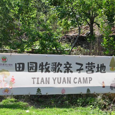 溯溪拾野趣，夏风送笑声