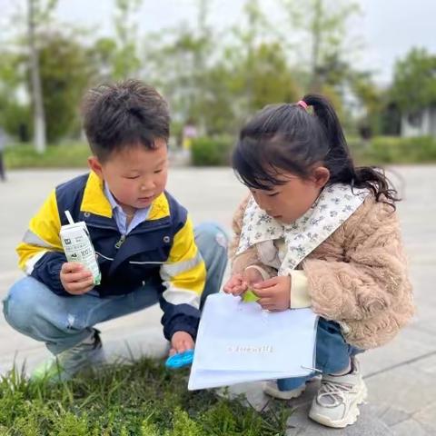 “芒种芒种🌾🌾幸福播种”——实幼中班组芒种节气活动