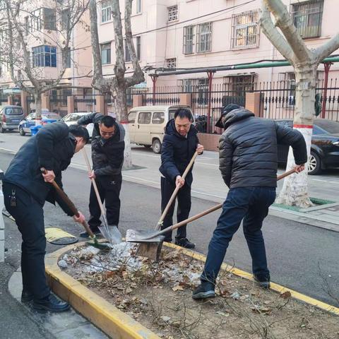 积雪无痕   绿化先行——园林绿化科开展绿化带积雪清理行动