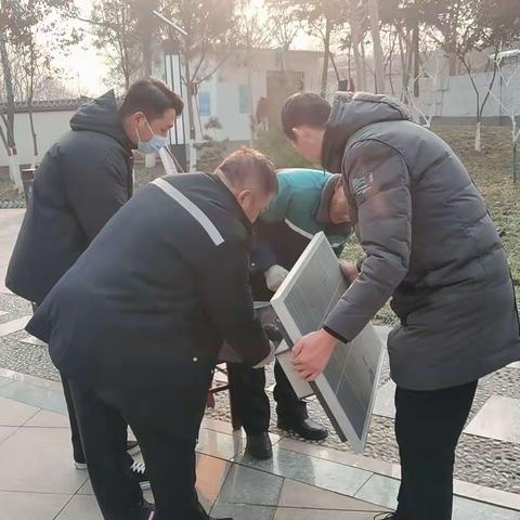 强基固本   消除隐患    守护城市绿色之美