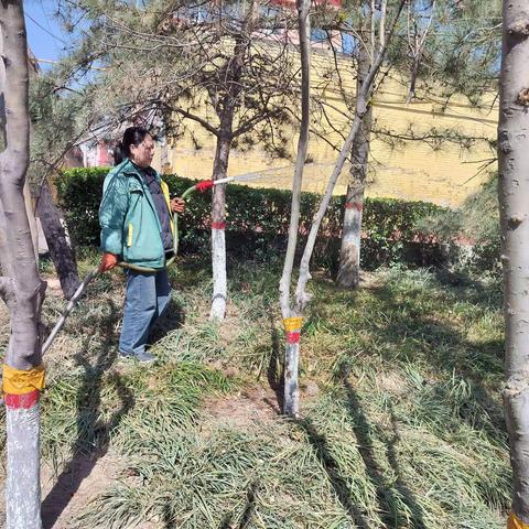 浇足“返青水”   苗木绿意浓