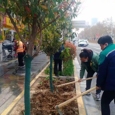 春日精心补植   绿地绽放新生