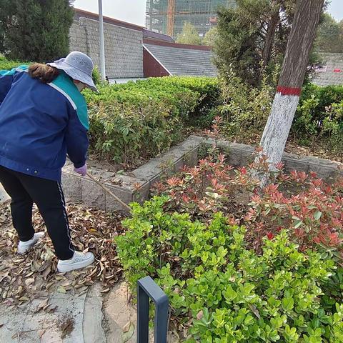 焕新城市容颜   共筑绿色家园