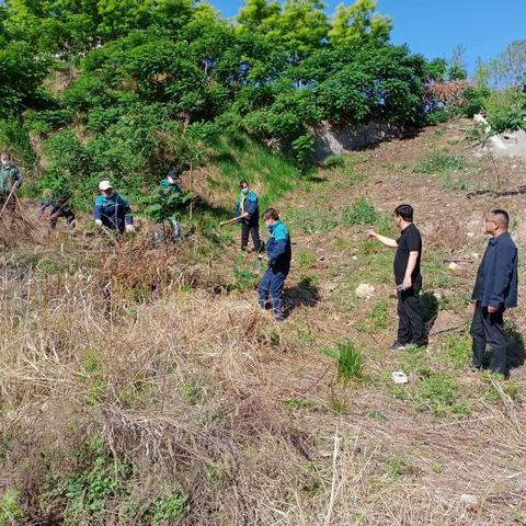 园林中心：用行动和汗水集中整治玉带河生态廊道