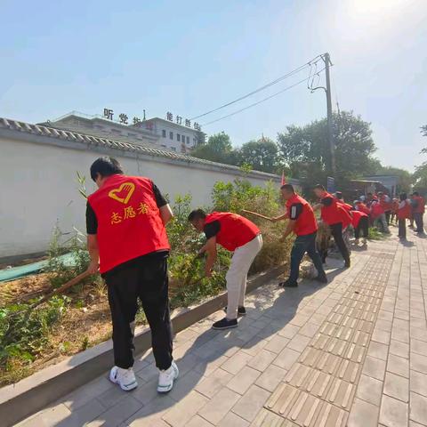 清理绿地死角   守护城市“绿脉”