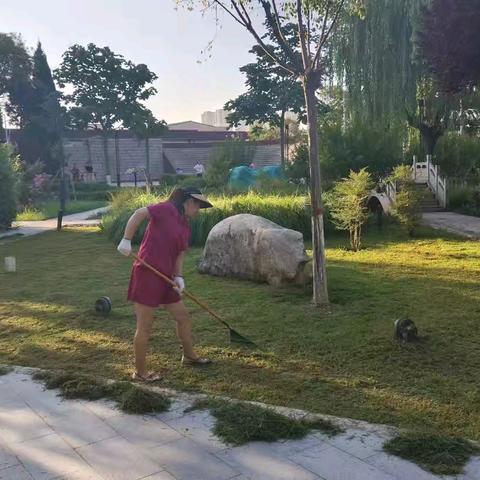 精修细剪促生长   “绣”出城市“精气神”