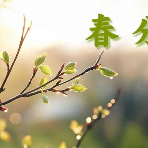 深耕·共读·致远 ﻿——襄垣县小学语文学科大教研之整本书阅读指导策略与方法