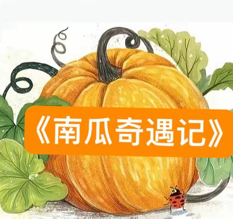 【文幼·动态】南瓜奇遇记🎃——长清区文昌中心幼儿园大二班课程故事