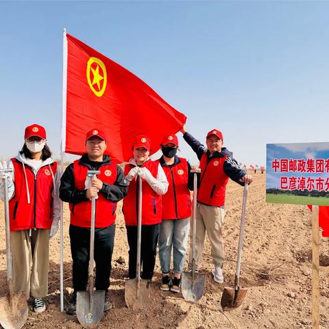 巴彦淖尔市分公司党委开展“手植一棵树，绿化一片天”义务植树活动