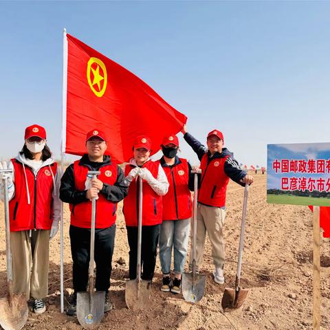 巴彦淖尔市分公司党委开展“手植一棵树，绿化一片天”义务植树活动