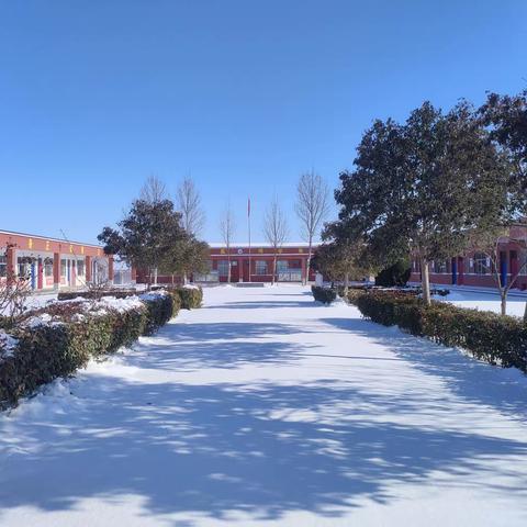 扫雪除雪，迎接新学期——白寺镇西北学校全体教师扫雪除雪迎接新学期