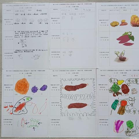海口市美兰区海航豪庭北苑幼儿园2022秋季大二班班本课程《红薯大调查》