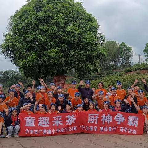 童趣采茶，厨神争霸研学游～2024泸州广营路小学6年级3班