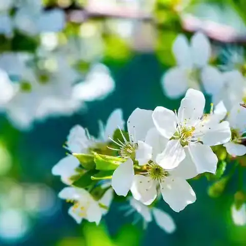 云程发轫 踵事增华——明德小学新学期综合学科业务培训