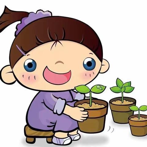 苏坊镇中心幼儿园“童趣春天  种植希望”植物角评比大赛