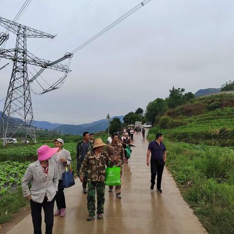 团街镇万寿菊种植产业发展  助推乡村振兴