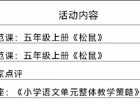 区镇联动共合作，互研互鉴促成长——徐水区张莉苹小学语文名师工作室2023年送教下乡活动