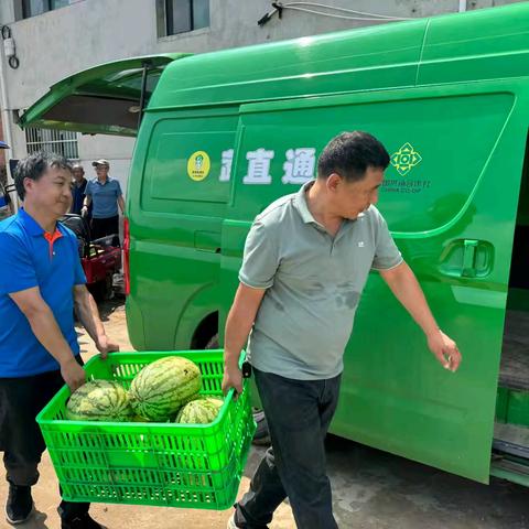 助农增收解民忧  供销帮销显担当