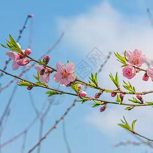 【早春·蜕变】三月不减肥，四月徒伤悲？早春变美，从“埋线”开始！