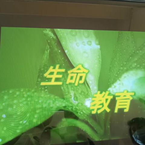 美丽 校园十六小学