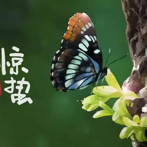 【温暖健康 ❤满意龙阳】二十四节气——惊蛰