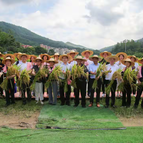 民盟白云区基层委员会盟员举办金丰嘉年华—— 稻花香里说丰年，助力百千万行稳致远