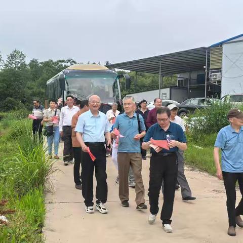 乐平市委决策咨询委员会开展“乡村产业振兴亮点”参观学习活动