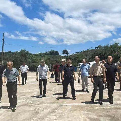 市委决策咨询委员会开展“持续改善农村人居环境、加强农村生态环境治理，推动乡村产业提质增效、做好土特产文章，构建多元化食物体系，扶植水产畜牧业稳定发展”调研活动