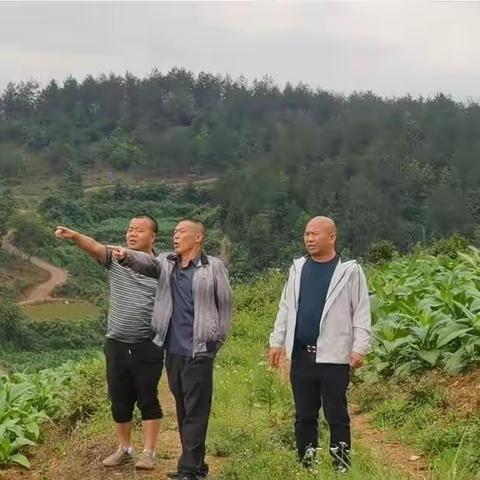 向下扎根——在基层沃野绽放绚丽之花