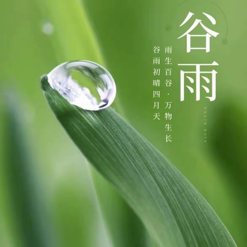 青禾幼儿园🌞二班  今日谷雨