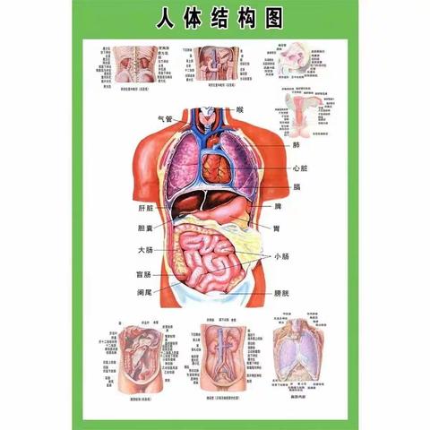 人体健康讲座知识