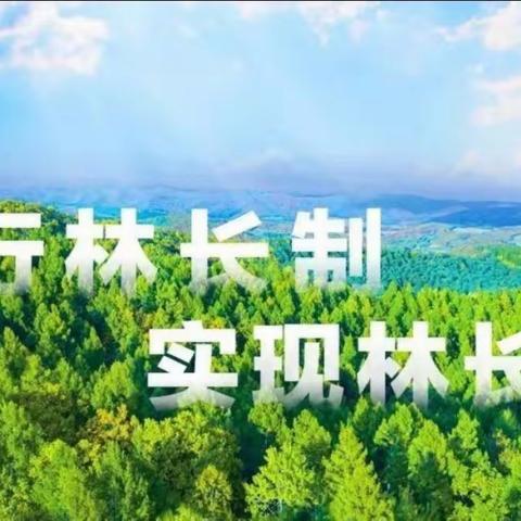 以林长制为纽带  织密野生动植物保护网