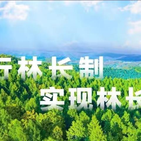 古中林场持续抓实林下经济整改工作