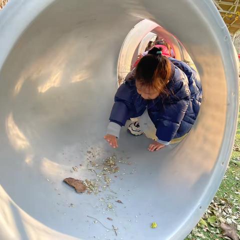 中一班综合区12月份观察记录