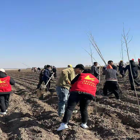 双岗镇开展“万人万亩造林日” 义务植树活动