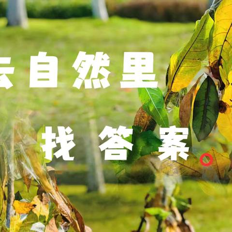 荷源村童伴之家开展《趣探自然，童梦拾光》主题活动
