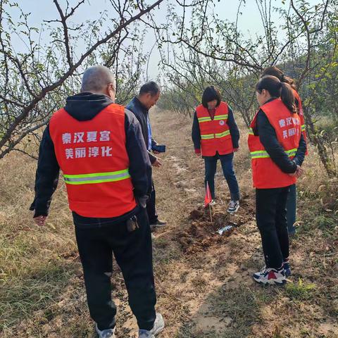 淳化县进行林业鼠害监测并邀请专家进行林地属害监测培训