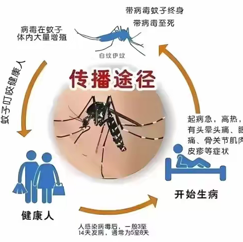 科学预防      健康同行