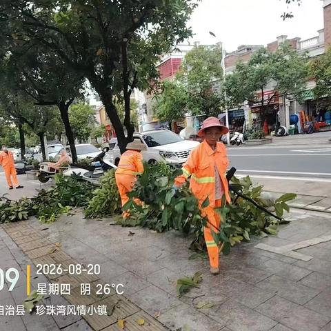 锚定雨后环境短板，统筹防汛排查，抓实环卫绿化保障——永昇市政公司