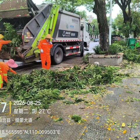 抓实雨后环境整治攻坚，筑牢城乡环卫绿化管护闭环——永昇市政公司