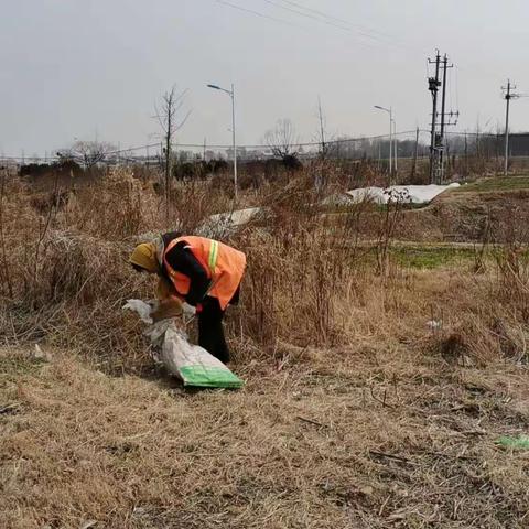 清洁道路垃圾