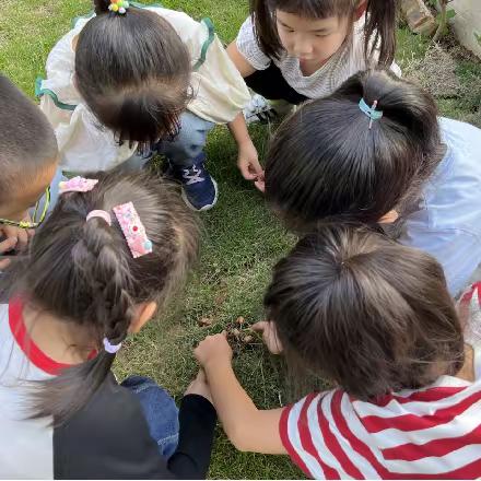你好，蘑菇君！——尹山湖实验幼儿园大（4）班课程故事