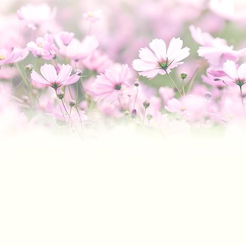 “净”待你来     “被”出风采